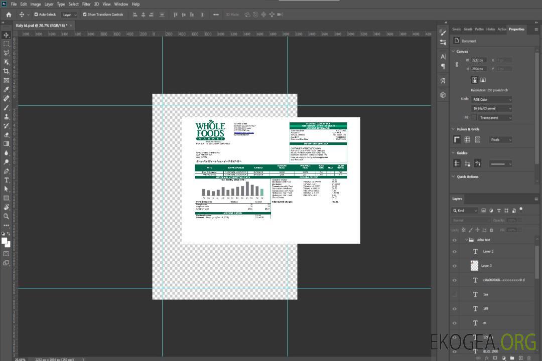 Modèle de facture de services publics de USA Whole Foods Market aux formats Word et PDF template Modèle de facture de services publics de USA Whole Foods Market aux formats Word et PDF template